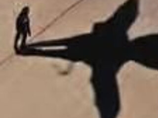 blindsurfer