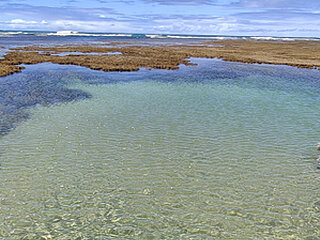 boypernambuco1